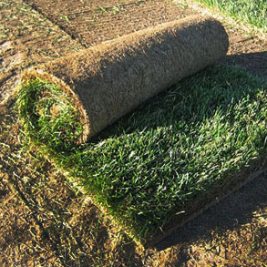 Landscape Design
