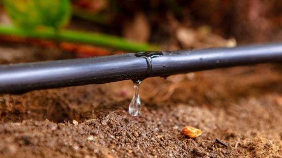 water streams