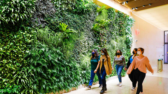 GreenWalls