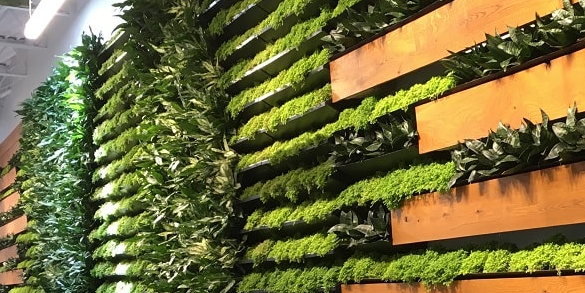 Landscape Design