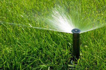 irrigation