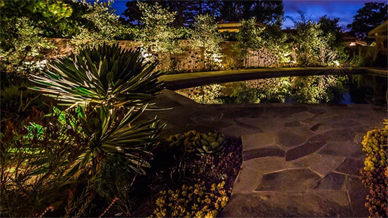 Landscape Lighting
