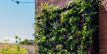 Natural Green Wall
