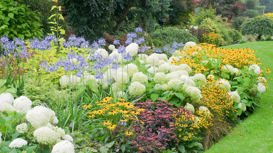 perennial beds
