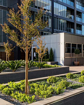 Landscape Design