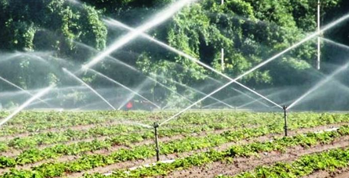 spray irrigation