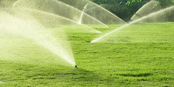 Landscape Design