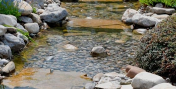 Water Streams