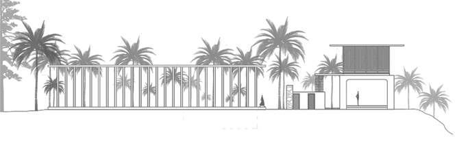 Trees Sketch